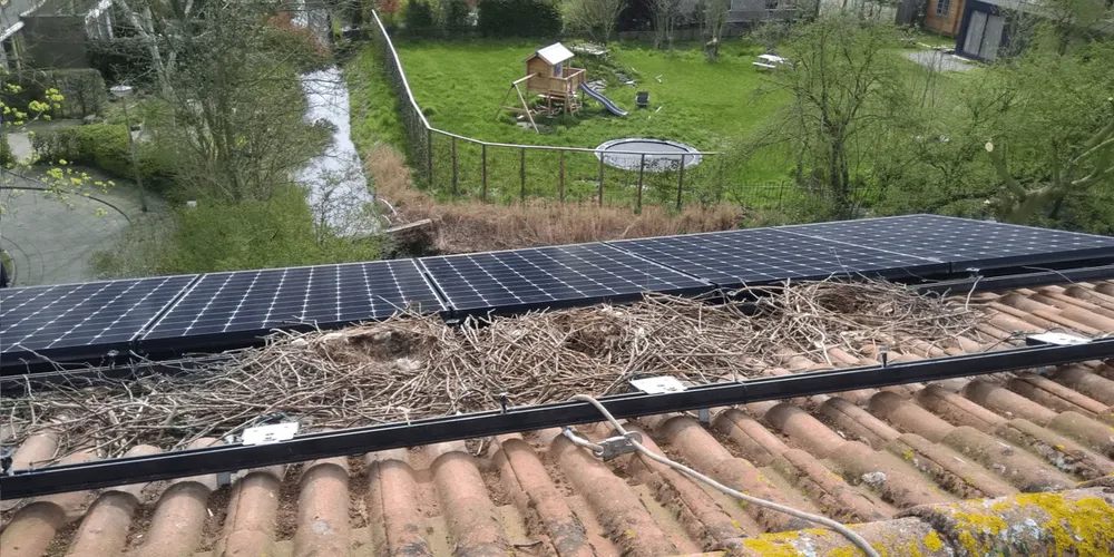 Painel solar no telhado com sinais de nidificação de aves por baixo