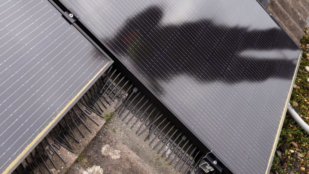 BirdBlocker instalado no perímetro dos painéis solares para evitar que os pombos entrem debaixo dos painéis